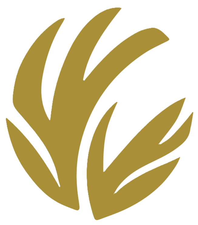 지푸라기 파트너스 로고